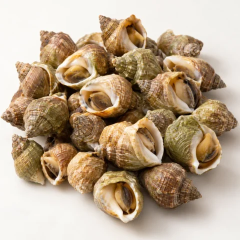 Ốc Bulot size 30/50