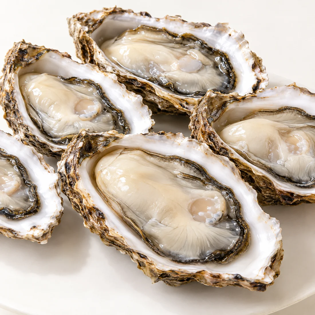 Hàu Nhật 1 mảnh hàng túi — 6–8 con/kg