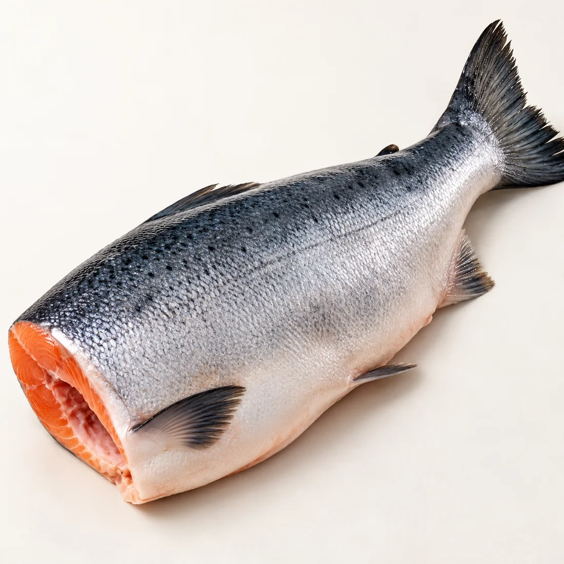 Cá hồi không đầu COHO