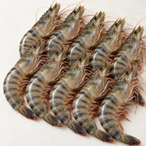 Tôm sú quảng canh size 10 Net 5.5