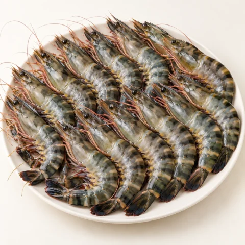 Tôm sú quảng canh size 15 Net 5.5