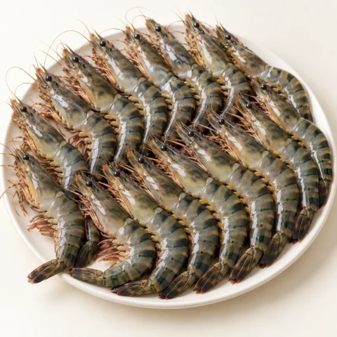 Tôm sú quảng canh size 20 Net 5.5